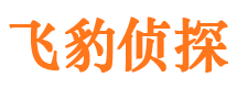 江海市调查公司